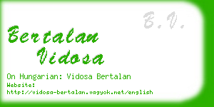 bertalan vidosa business card